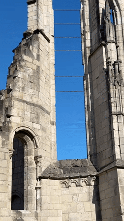 Morning walk around Walkenried Abbey ruins with a French bulldog