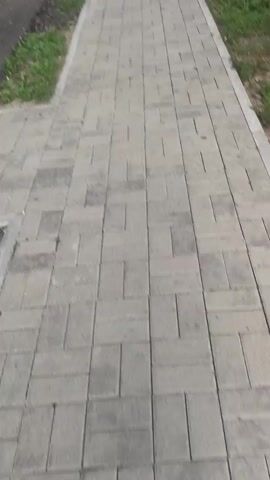 The video shows a paved walkway made of rectangular gray stones. The walkway is bordered by grass and dirt. On the left side of the walkway is a building with a brick facade. On the right side of the walkway are trees and foliage. A silver car is visible in the background. A manhole cover is present on the walkway. The video appears to be filmed from a first-person perspective, suggesting someone is walking along the path. The scene is outdoors, under natural light.