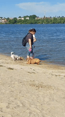 Women walk dogs along Ternopil Pond shore on sunny afternoon