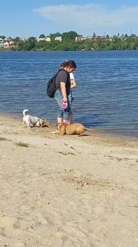 Women walk dogs along Ternopil Pond shore on sunny afternoon