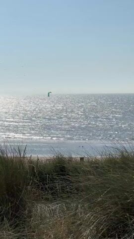 A vertical, medium shot captures a bright, sunny day at the beach. In the foreground, tall, dry grass sways gently. The middle ground reveals a sandy beach with a few small figures, possibly people, visible near the water's edge. Beyond the beach, the vast ocean stretches to the horizon, its surface shimmering and rippling under the sunlight. In the distance, a bright blue kite soars in the sky, and a person is kitesurfing on the water. The sky is clear and a pale blue.
