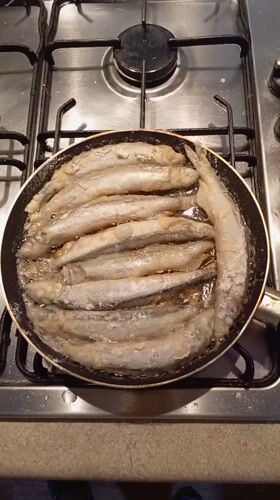 Evening cooking and film photography moments in Hrodna