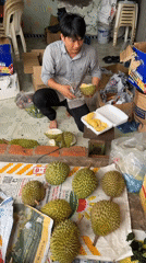 Morning market hustle at a Mũi Né fresh produce bazaar