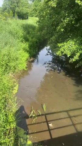 A drone view pans over a slow-moving, muddy stream bordered by green grass and trees. The stream's bottom is visible in places, with some debris and plant life. The shadow of a bridge or railing is cast across the water.