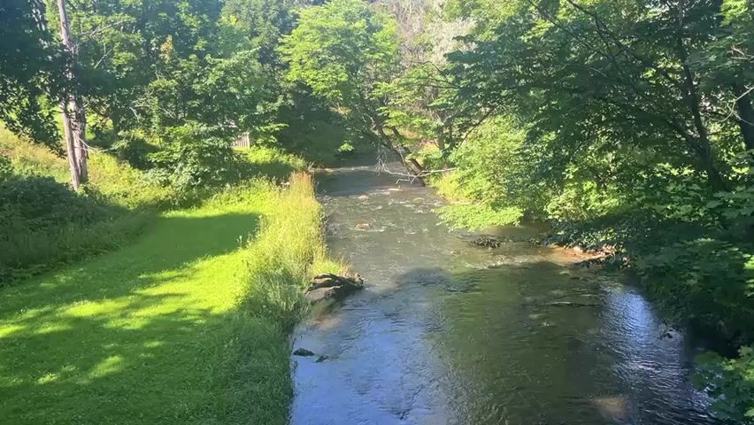 This media file captures a serene outdoor scene in Toila, Estonia. The primary subject is a flowing river, winding its way through a lush, green landscape. On the left bank, a neatly mown lawn stretches out, bordered by tall grasses and wildflowers. The right bank is densely wooded with a variety of trees, their leaves creating a dappled canopy that casts shadows on the water. Sunlight filters through the trees, illuminating parts of the river and the foliage, suggesting it is daytime, likely late morning or early afternoon, with fair weather.

The river itself appears shallow in places, with visible rocks and submerged branches. The water is clear and reflects the surrounding greenery. A fallen tree branch lies partially submerged near the left bank, adding a natural element to the scene. In the distance, the river curves out of view, disappearing into the dense forest. The overall atmosphere is one of tranquility and natural beauty. There are no people or man-made objects prominently featured, emphasizing the untouched, natural setting. The image evokes a sense of peace and the quietude of a summer day in the Estonian countryside. No visible text is present in the media file.