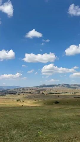 The video is a vertical, handheld shot of a vast, rolling landscape under a bright blue sky dotted with fluffy white clouds. The foreground is dominated by a field of dry, golden-brown grass with some taller stalks visible. The midground shows gently sloping hills covered in a mix of dry grass and patches of greener vegetation, with a few scattered trees and shrubs. In the background, a range of majestic, rugged mountains rises against the horizon. The overall impression is of a wide-open, natural, and somewhat wild environment, possibly a mountainous plateau or a high-altitude meadow. The lighting suggests it is daytime, likely late morning or early afternoon, with the sun illuminating the scene. There are no people or man-made objects immediately visible. The camera appears to be stationary for the duration of the clip, allowing the viewer to take in the expansive vista.