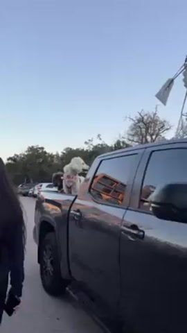 The video shows two dogs, a white poodle and a brown poodle, sitting in the back of a gray pickup truck. Both dogs are wearing bandanas with heart patterns. The truck is parked in an area with other cars visible in the background. A windmill is also visible behind the truck. The sky is light blue. The camera zooms in slightly on the dogs.