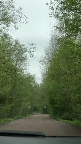 The video shows a view from inside a car driving down a dirt road. The road curves slightly. Lush green trees line both sides of the road, forming a canopy overhead. The sky is overcast and grey. The car's dashboard is visible at the bottom of the frame.