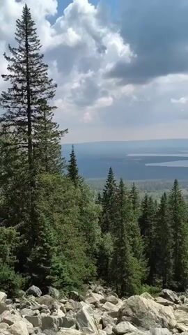 The video shows a panoramic view from a rocky, mountainous area overlooking a vast landscape of trees and a body of water under a cloudy sky. In the foreground, large grey and white rocks are scattered on the ground, with several tall evergreen trees to the left and center of the frame. The middle ground features a dense forest of evergreen trees. In the background, a large body of water, possibly a lake or sea, stretches across the horizon, bordered by hazy mountains. The sky is filled with dramatic, dark grey and white clouds, with patches of blue sky visible. The camera appears to be static, capturing the expansive natural scenery.