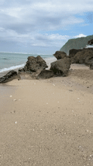 Beach scenes with people and dog captured in Kuta Selatan