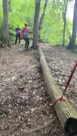 A young person wearing a helmet and harness is walking across a fallen log in a wooded area. Another person stands in the background. The log is supported by red straps. The ground is covered in leaves and dirt.