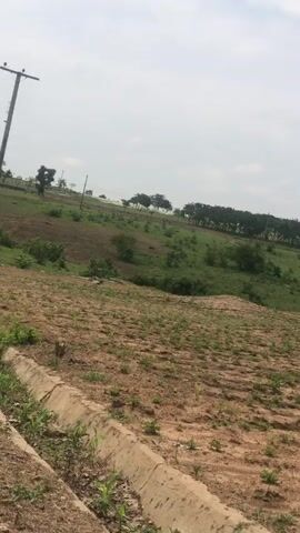 A landscape video captures a view of farmland and scattered buildings. The foreground shows rows of young plants growing in reddish-brown soil, with a concrete drainage channel running along the left side. In the mid-ground, the land slopes upwards, featuring patches of green vegetation and a few trees. Further in the distance, clusters of buildings with red and white roofs are visible on the hills. A utility pole stands prominently in the middle ground. The sky is overcast with some clouds. The camera appears to be moving slightly, panning across the scene.