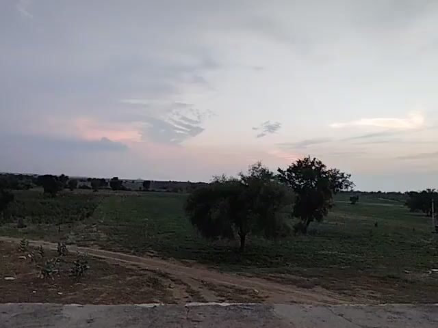 The video shows a wide shot of a rural landscape during what appears to be dusk or dawn. The sky is filled with clouds, with hints of pink and orange light suggesting the sun is low on the horizon. In the foreground, there is a dirt path. The middle ground features a grassy field with several trees. Two trees in particular are prominent, with one being larger and more dense than the other. In the distance, there is a small, box-like structure, possibly a shed or a small building, and more trees dot the landscape. The overall impression is of a quiet, natural setting. There are no people or animals visible in the video. The camera appears to be stationary, capturing a still scene.