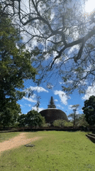 Ancient Buddhist ruins documented at Polonnaruwa archaeological site, Sri Lanka