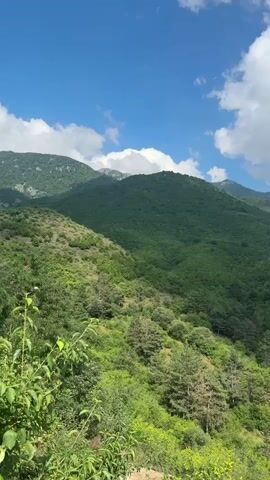 A panoramic shot of rolling green mountains under a bright blue sky with white clouds. The mountains are covered in dense forestation. The foreground shows trees and foliage, suggesting a natural, outdoor environment. The camera appears to be panning slowly across the landscape. There are no people or man-made structures visible in the frame. The time stamp is 00:00.