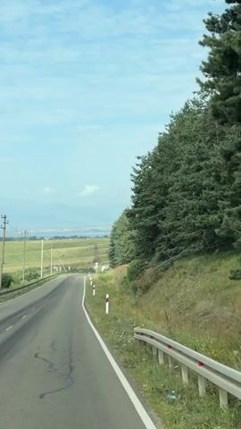 A paved road curves to the left as it goes uphill. Tall green trees line the right side of the road. The left side of the road has a grassy field with a few utility poles. The sky is blue with some white clouds.