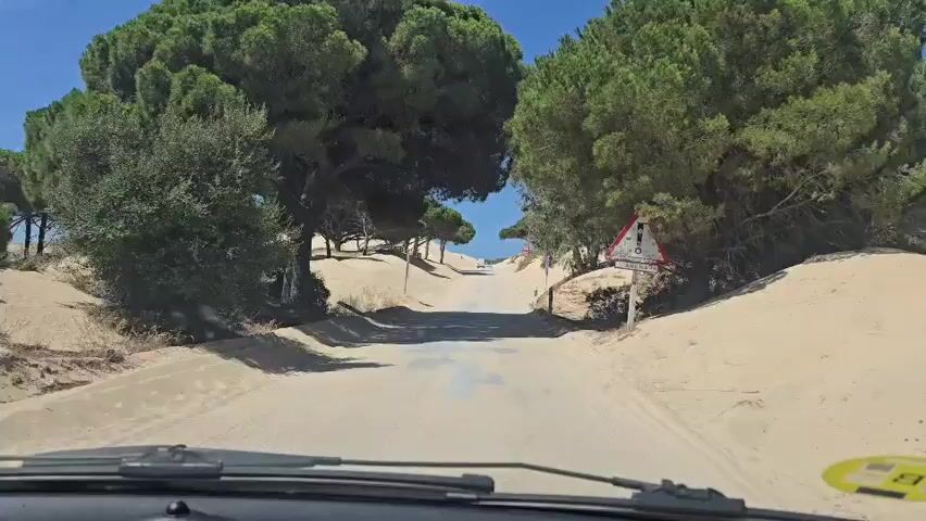 The video shows a first-person view from a vehicle driving on a sandy road flanked by pine trees and sand dunes under a clear blue sky. The road appears to be a dirt or asphalt path partially covered in sand. There are traffic signs visible on the sides of the road, including a triangular warning sign with a red border and a depiction of a person. The vehicle is moving forward, and the scene suggests a coastal or rural environment with a natural landscape.