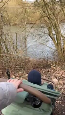 The video shows a person walking along a narrow dirt path next to a river, pushing a stroller containing a child wearing a dark blue knit cap. A small dog with a black back, brown head, and white markings on its neck is leashed to the person and walks ahead. The river is visible through bare trees and brush, and the ground is covered in fallen leaves. The stroller is green and has a brown handle. The person is wearing a light gray jacket.