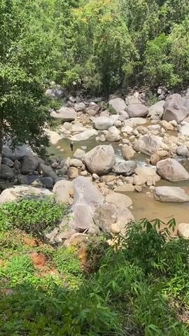 A drone shot pans over a rocky riverbed in a lush, green forest. The river is shallow and clear, with a gentle current flowing over smooth, tan-colored rocks. Large, rounded boulders are scattered throughout the riverbed, some partially submerged in the water. Dense green foliage covers the surrounding hillsides, with tall trees and smaller plants creating a thick canopy. The sky is partly cloudy. In the distance, a person is visible standing in the shallow water of the river. The camera movement is smooth and deliberate, allowing the viewer to take in the natural beauty of the scene.