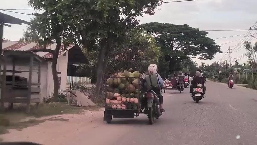 The video shows a street in what appears to be a Southeast Asian country. The camera, positioned inside a vehicle, faces forward.  A motorbike with a sidecar full of coconuts is in front of the camera vehicle. Several other motorbikes are also travelling on the road. The road is paved, and lined with buildings and trees. Utility poles and wires are visible above the road.  The sky is overcast.