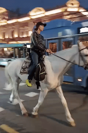 Dusk stroll through Saint Petersburg's historic landmarks and sculptures