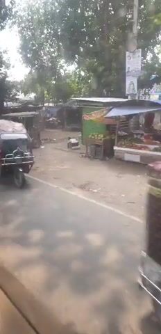 The video shows a roadside scene in what appears to be a rural or semi-urban area. The camera is moving, suggesting it is filmed from a vehicle. On the left side of the road, a red and pink three-wheeled auto-rickshaw is visible, with a person inside. Further down the road, there are various stalls and shops. One stall has green fruit, possibly coconuts, on display. There are also bicycles and motorcycles parked along the roadside, along with some makeshift shelters with corrugated metal roofs. People are seen walking and interacting with the stalls. The environment is dusty with trees and vegetation lining the road. The overall impression is of a bustling local market or a busy roadside shopping area.