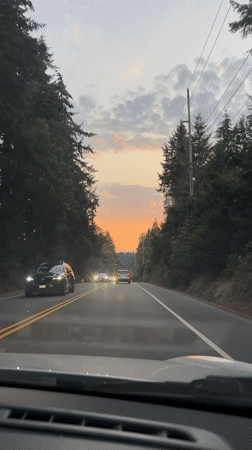 Evening drive through Gig Harbor under a Pacific Northwest sunset