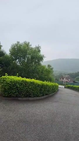 A paved road curves to the right, bordered by manicured hedges. Tall green trees are to the left of the road, and in the background, rolling hills are visible under a cloudy sky. A house with a red roof is nestled amongst the trees in the distance. The video appears to be taken while moving along the road.