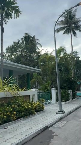 The camera pans across a street lined with sidewalks in an area with lush vegetation. A building with a green and white exterior sits behind a low fence on one side of the street. A tall palm tree and other greenery add to the tropical feel. A light grey pole stands near the sidewalk. The camera then focuses on a small, turquoise-colored building labeled "OSTROV TOURS ART STUDIO." The building appears to be closed or under construction. Puddles of water are visible on the street, and a person on a scooter drives by. The sky is overcast, suggesting a cloudy day.