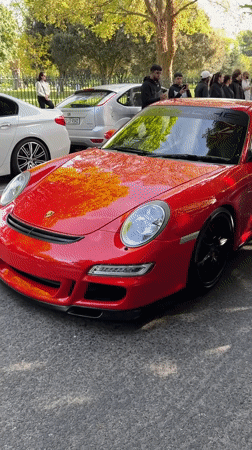 Vintage and luxury car show draws crowds in Dublin