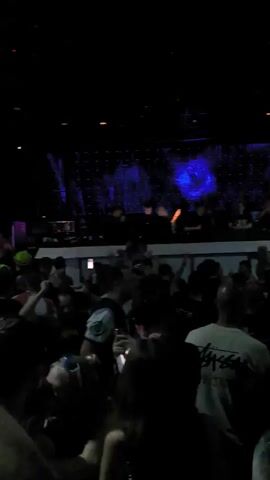 Here is a description of the video:

A crowd of people are dancing and enjoying themselves at a club or concert venue. A DJ is performing on stage, visible behind a large screen displaying the logo "Terminal". The lighting is dynamic, shifting between blue and white, creating a high-energy atmosphere. People in the crowd are holding up their phones, presumably to record the performance. The environment is dark except for the stage lights and screen, typical of a nightclub or concert setting. The crowd is densely packed, suggesting a popular event.