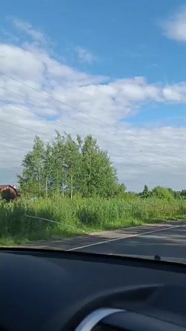 This is a video taken from inside a vehicle traveling on a paved road through a rural landscape. The scene is dominated by a bright blue sky with scattered white clouds, suggesting a clear and pleasant day. Lush green vegetation, including tall grass and trees, lines both sides of the road. Power lines are visible overhead, strung between utility poles, indicating the presence of infrastructure.

The road itself has a yellow line marking the center and white lines along the edges. In the distance, a few scattered houses with red roofs can be seen, hinting at a small village or settlement. A white utility pole stands prominently on the right side of the road, and further down, a few other vehicles, including what appears to be a white van or truck, are visible. A triangular road sign is also present on the right side.

The overall impression is one of a journey through a peaceful, somewhat sparsely populated area on a sunny day. The video captures a slice of life in a rural setting, with the road and the surrounding nature being the primary visual elements. The video is in Russian, indicated by the presence of Russian text which is not legible from the given frames. The activity taking place is simply driving along a road, observing the scenery.