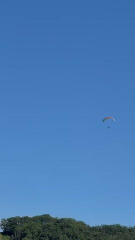 A paraglider with a yellow canopy and a person suspended beneath it is seen floating in a clear blue sky. The paraglider is positioned in the upper right quadrant of the frame. Below the paraglider, a lush green treeline with a gentle upward slope forms the lower portion of the image. The sun is shining, creating a bright, clear day.