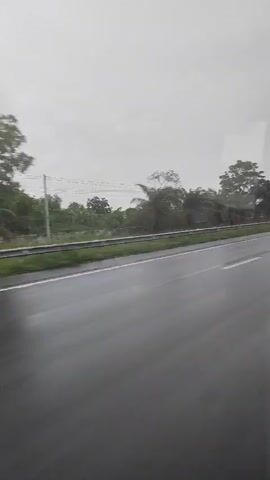 The video shows a view from a moving vehicle on a wet road. The sky is overcast and appears to be raining. On the right side of the road, there are trees and a yellow traffic sign indicating a curve ahead. The road is grey and appears to have a few puddles. White lines mark the lanes. The overall impression is a rainy day drive.
