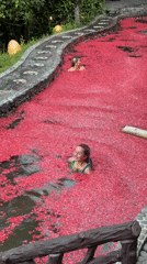 Flower petal spa experience with evening gatherings in Blahbatuh