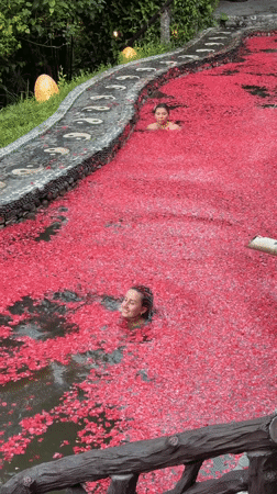 Flower petal spa experience with evening gatherings in Blahbatuh