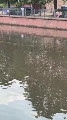 The video shows a body of murky water, likely a river or canal, with a stone embankment on one side. Several signs are visible on the embankment, including one with yellow and white graphics and text, and another with logos and text that appears to be advertising. There is a metal ladder extending into the water from the embankment. In the distance, there are people and trees. A green rope stretches across the water. Further along the embankment, a floating stage with a black backdrop displaying "ENZlive" and other text is visible. There are also lights and equipment on the stage, and a life preserver is attached to the side.