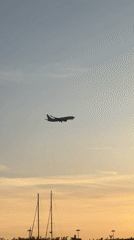 Aircraft lands at dusk in coastal Sirius, Russia