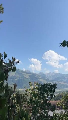The video pans across a mountain landscape. In the foreground, leafy green branches and a pine branch are visible on the left and right edges, obscuring parts of the view. The background features rolling green mountains under a clear blue sky with scattered white clouds. The terrain appears to be a valley with houses and trees visible at the base of the mountains. The camera movement is slow and steady.