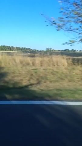 The video captures a side-view of a black convertible car driving on a road. The camera perspective is from inside another vehicle moving alongside the convertible. The convertible is in the foreground on the left side of the screen, showing its rear and part of its side. The background consists of a blue sky, a field of dry grass and some trees, suggesting a rural or semi-rural setting. The video appears to be shot during the day with clear skies and sunlight. There is a white line marking the edge of the road. The motion blur indicates the vehicles are in motion, with the convertible seemingly moving at a moderate speed. The trees in the background are blurred due to the movement. There are no people clearly visible in the video, and the focus is on the car and the surrounding landscape.