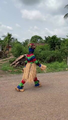 The video shows a traditional masquerade performance. Initially, an individual dressed in a colorful costume made of striped fabric and straw walks down a dirt road. The costume covers the person from head to toe, making it difficult to discern their identity. The environment is rural, with lush green vegetation and modest buildings in the background.

The scene then transitions to show more performers. Two additional figures in similar but differently designed costumes—one in black and white stripes and the other in green—join the first. A man in a casual shirt and jeans accompanies them, carrying greenery.

Subsequently, a group of young men, some wearing matching purple and white patterned shirts, come into view, smiling and laughing. These younger individuals appear to be part of the procession or audience, enjoying the performance. The background shows more buildings and a group of people gathered, possibly watching the event.