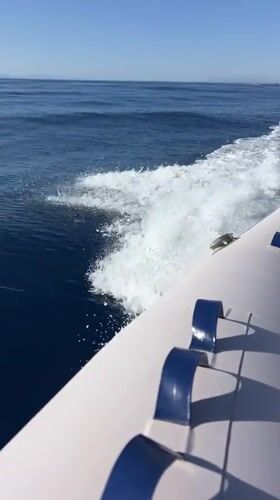 Speedboat day trip on the Red Sea, Sharm El Sheikh