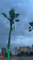 Storm weather hits Batumi waterfront as residents brave winds