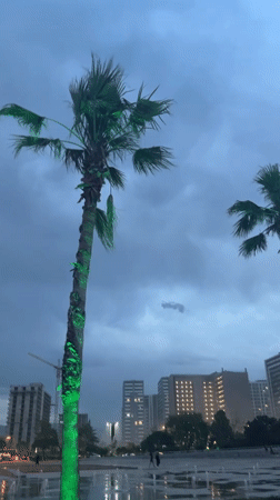 Storm weather hits Batumi waterfront as residents brave winds