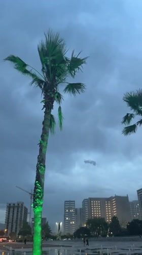 Storm weather hits Batumi waterfront as residents brave winds