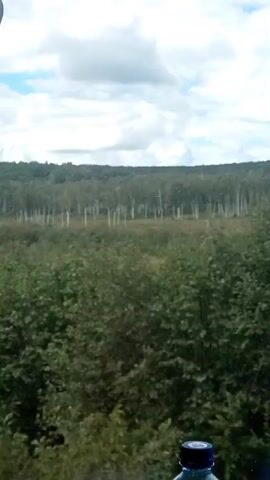 The video shows a landscape view from a moving vehicle. In the foreground, the top of a blue bottle cap is visible. The middle ground consists of dense green foliage and trees, with a line of lighter-colored trees, possibly birch, in the distance. Beyond that, a darker, treed hillside forms the horizon. The sky is mostly cloudy with some patches of blue. The camera appears to be panning slightly or the vehicle is moving, causing a subtle shift in the view. There are no people visible in the scene.