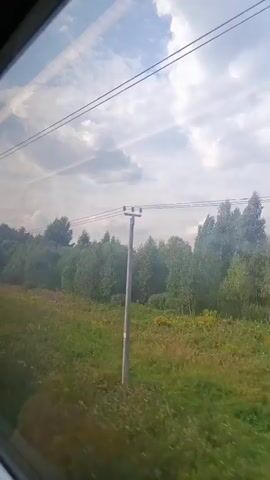 The video shows a view from a train window traveling through a rural landscape. The sky is cloudy with some patches of blue. The landscape consists of green grass and fields with yellow wildflowers, bordered by a dense line of trees, primarily birch trees. There are overhead power lines visible throughout the scene, and in some frames, electrical poles supporting these lines appear. The train also passes by a structure that resembles stacked concrete rings or barriers. The movement of the train causes a slight blurring of the scenery. No people are visible in the frame.