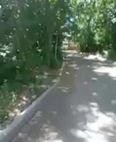A low-resolution video clip shows a paved path winding through a wooded area. Sunlight filters through the dense green foliage, casting dappled shadows on the path. The camera appears to be moving forward, suggesting a person is walking or riding along the path. No people are clearly visible, though the movement implies a presence. The environment is natural and appears to be a park or trail.