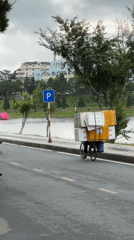 Early morning lakeside life documented around Da Lat's Xuan Huong Lake