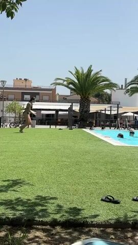 A person wearing a black bikini runs along a grassy area towards a swimming pool. The person then jumps into the pool, creating a large splash. Other people are visible in the pool and on the surrounding grass. Two palm trees are in the background, along with buildings and a clear blue sky.